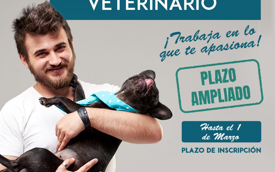 Curso Asistente Clínico de Veterinaria en Málaga – RESERVA TU PLAZA HASTA EL 1 DE MARZO