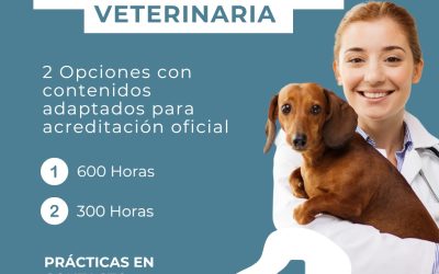 ¡DA EL PRIMER PASO HACIA TU FUTURO EN LA VETERINARIA! Curso de Asistente Veterinario en Málaga – Inscripciones Hasta el 1 de OCTUBRE