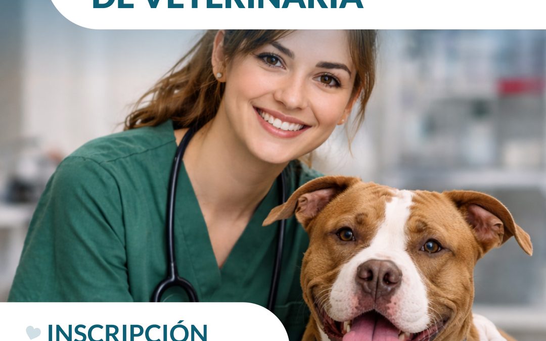 Curso Auxiliar Veterinario en Málaga – Inscripciones hasta el 14 de febrero