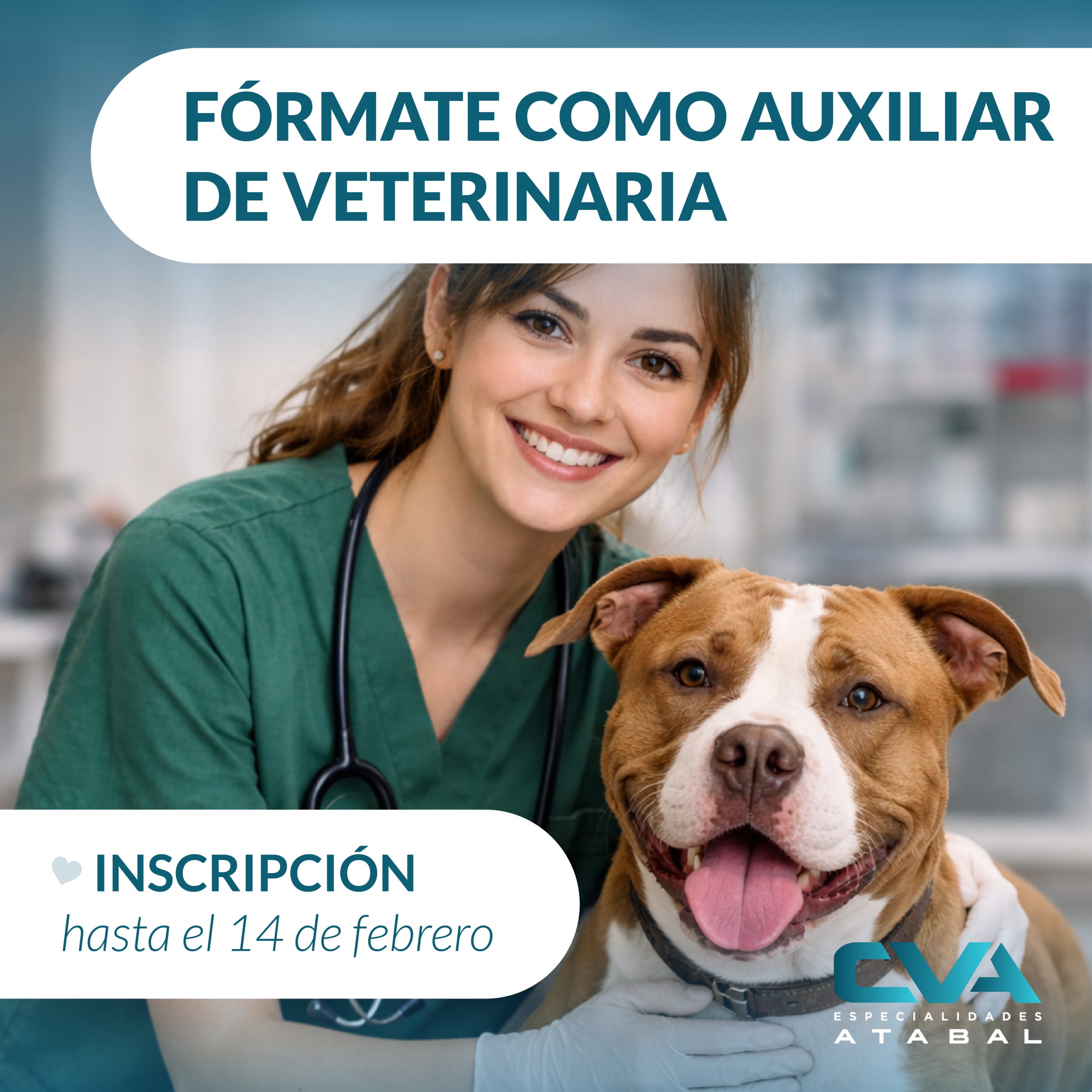 NUEVOS CURSOS DE AUXILIAR CLÍNICO DE VETERINARIA