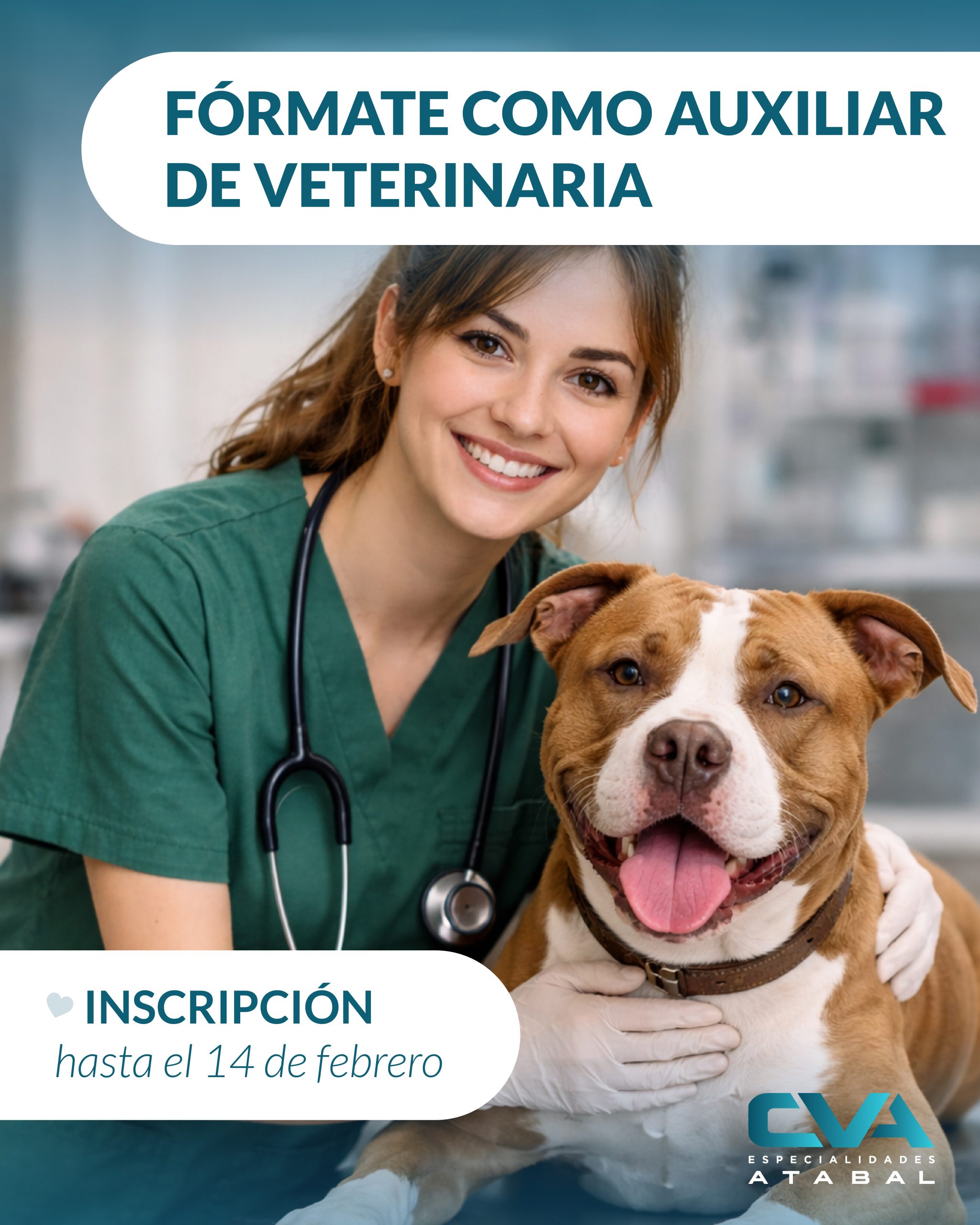NUEVOS CURSOS DE AUXILIAR CLÍNICO DE VETERINARIA