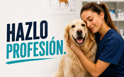 ¿Te gustan los animales? Cómo convertir tu vocación en una profesión como auxiliar veterinario