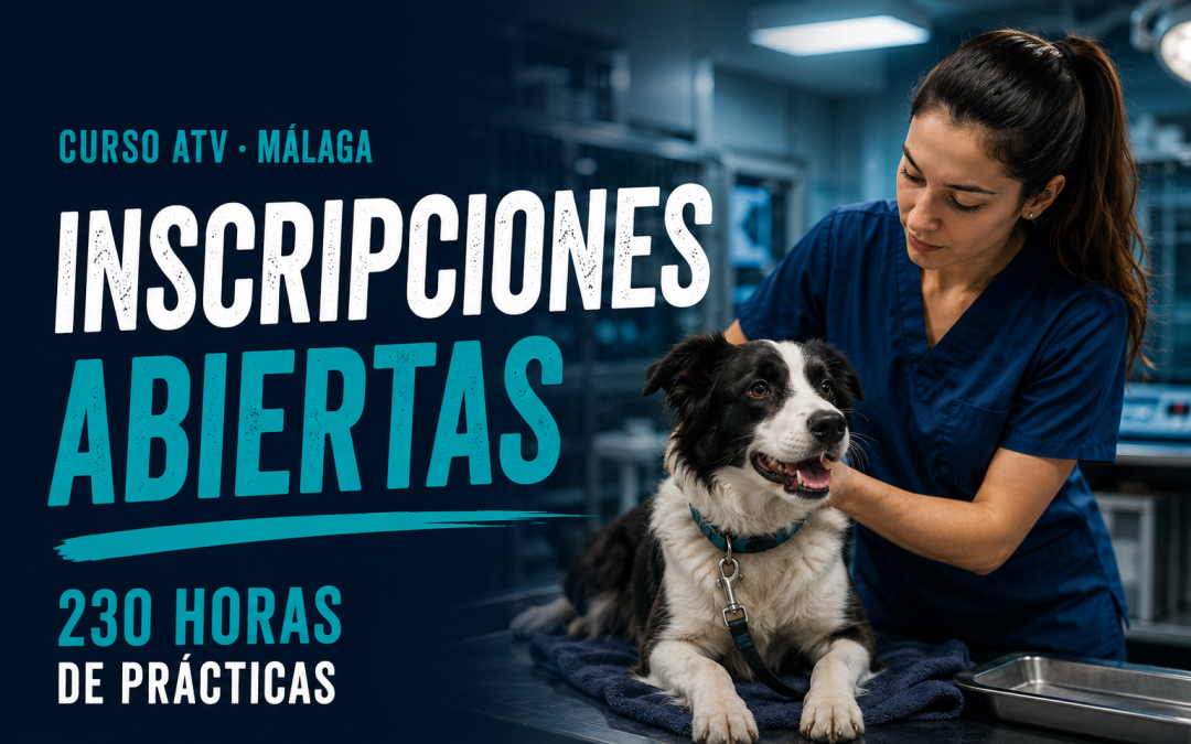 Abiertas las inscripciones para el Curso de Auxiliar Veterinario en Málaga