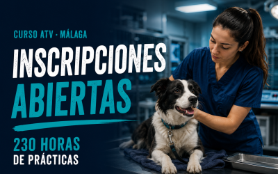 Abiertas las inscripciones para el Curso de Auxiliar Veterinario en Málaga