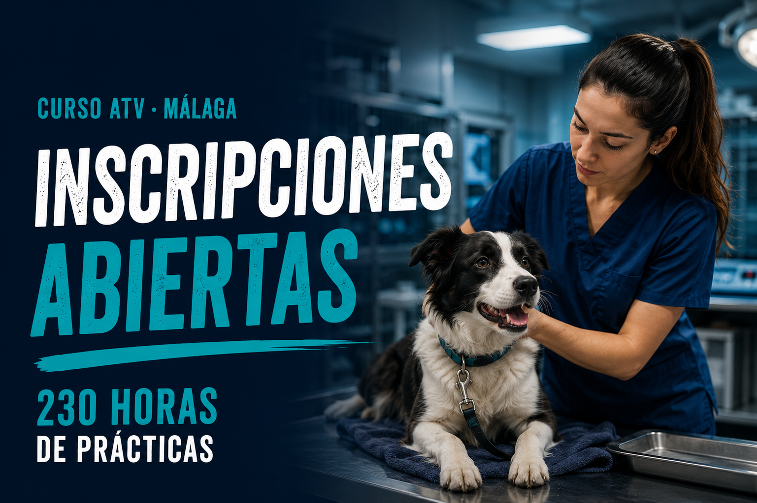 curso-auxiliar-veterinario-malaga-2026